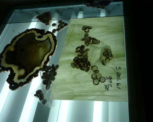  stained glass mosaic